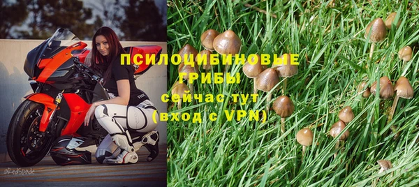 герыч Володарск